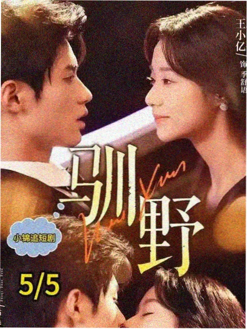 编辑推荐 剧集